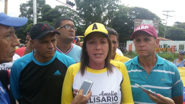 La diputada a la Asamblea Nacional, Amelia Belisario (Foto:  Prensa Dip. Amelia Belisario)