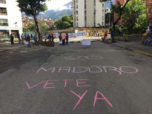 Palo verde cerrado / Foto: Régulo Gómez - La Patilla