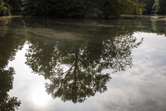 The lake 'Neuen See' is pictured in Berlin Tiergarten on August 25, 2017. The recent proliferation of red swamp crayfish in Berlin, a species classified as invasive and harmful, worries specialists who warn about the damage it could cause to the ecosystems of the German capital. / AFP PHOTO / Odd ANDERSEN