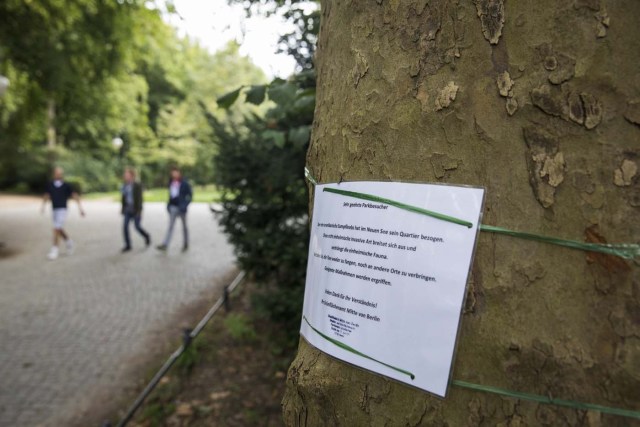 A placard warning on the proliferation of red swamp crayfish at the lake 'Neuen See' is pictured in Berlin Tiergarten on August 25, 2017. The recent proliferation of red swamp crayfish in Berlin, a species classified as invasive and harmful, worries specialists who warn about the damage it could cause to the ecosystems of the German capital. / AFP PHOTO / Odd ANDERSEN