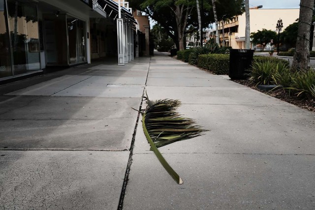 NAPLES, FL - SEPTEMBER 09: A lone palm branch lays on an empty sidewalk in downtown Naples before the arrival of Hurricane Irma into Southwest Florida on September 9, 2017 in Naples, Florida. The Naples area could begin to feel hurricane-force winds from Irma by 11 a.m. Sunday and experience wind gusts over 100 mph from Sunday through Monday.   Spencer Platt/Getty Images/AFP