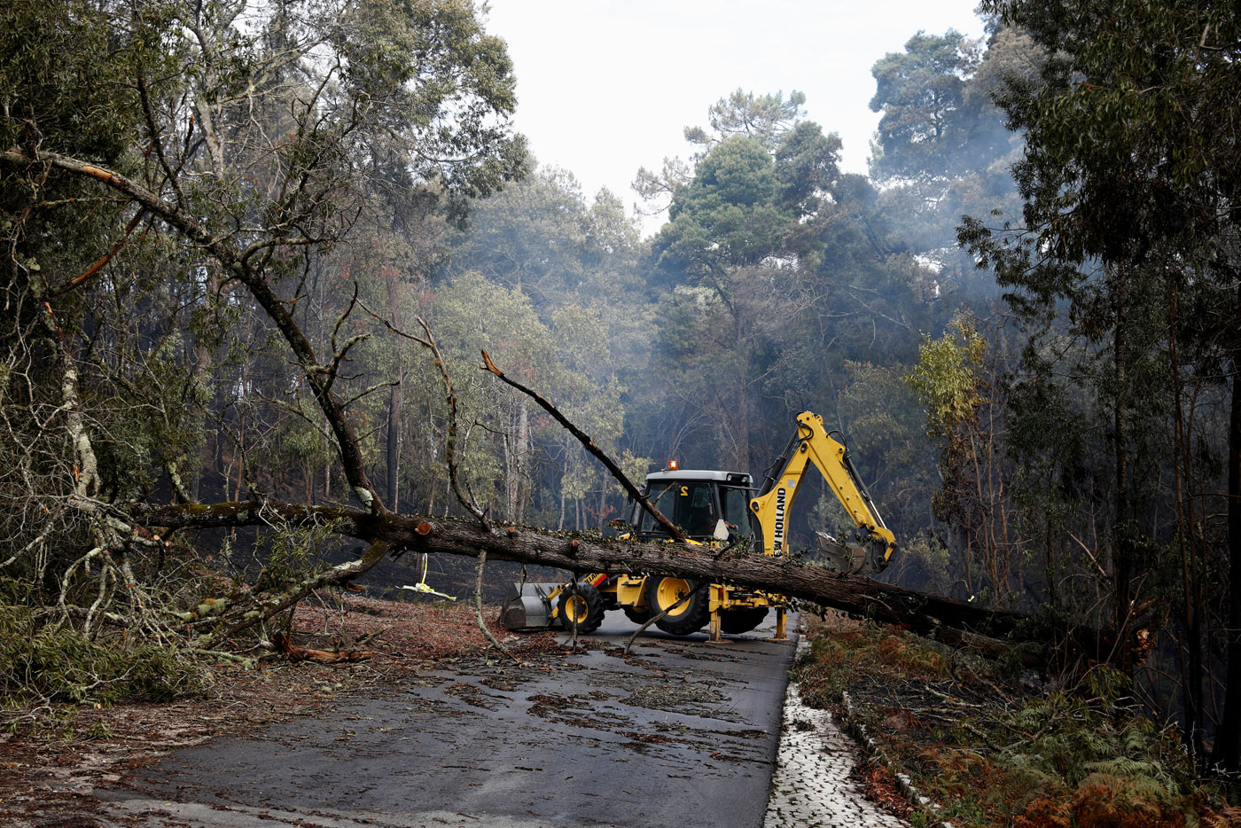 Aumenta a 42 el número de muertos en los incendios de Portugal