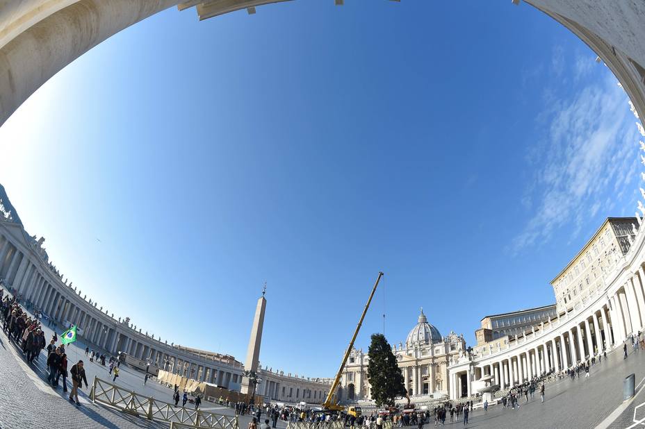 Árbol de Navidad obsequiado por Polonia se alza en la Plaza San Pedro del Vaticano (video)