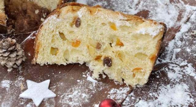 panettone