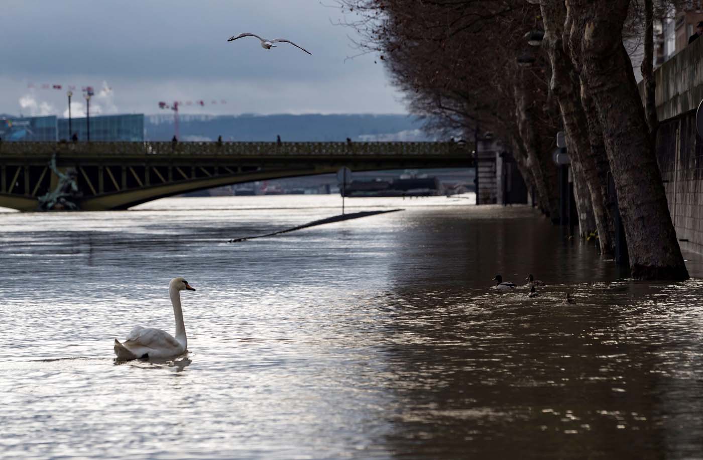 El Sena empieza a decrecer en París aunque se mantiene la alerta (fotos)