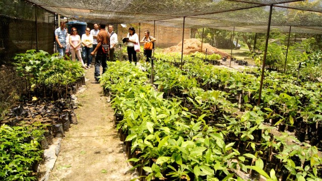 Fotos: Cortesía Tierra Viva / Vivaelcacao.com