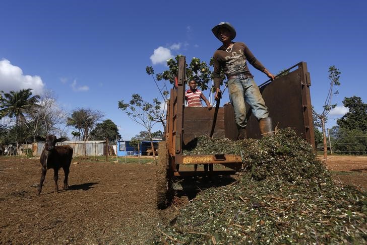 Cuba publica cifras agrícolas que muestran contracción en lugar de crecimiento