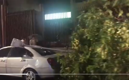 Reportan que caída de un árbol en la avenida Urdaneta genera retraso vehicular  #4Oct