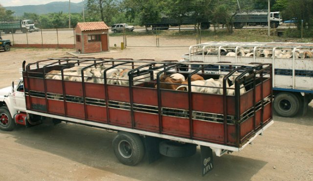 NOTICIA DE VENEZUELA  - Página 20 Contrabado-de-carne