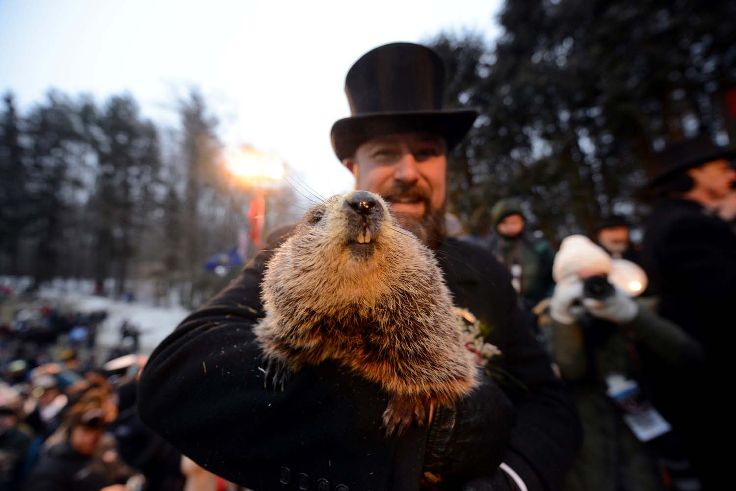 La marmota Phil predice que la primavera llegará pronto a Estados Unidos