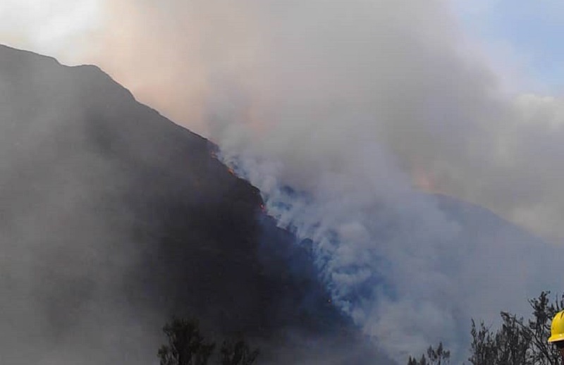 Bomberos tratan de controlar incendio en el páramo Los Granates en Mérida #18Feb (Fotos)