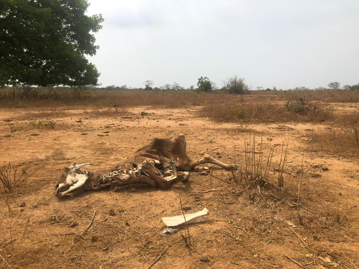 Desolada y en ruinas: La cruda FOTO que muestra cómo está Zulia por el mega apagón rojo