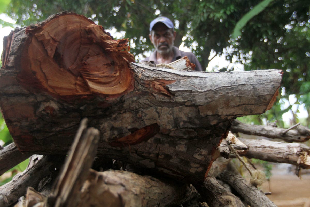 Leña por alimento, el trueque de “San Benito” para sobrevivir