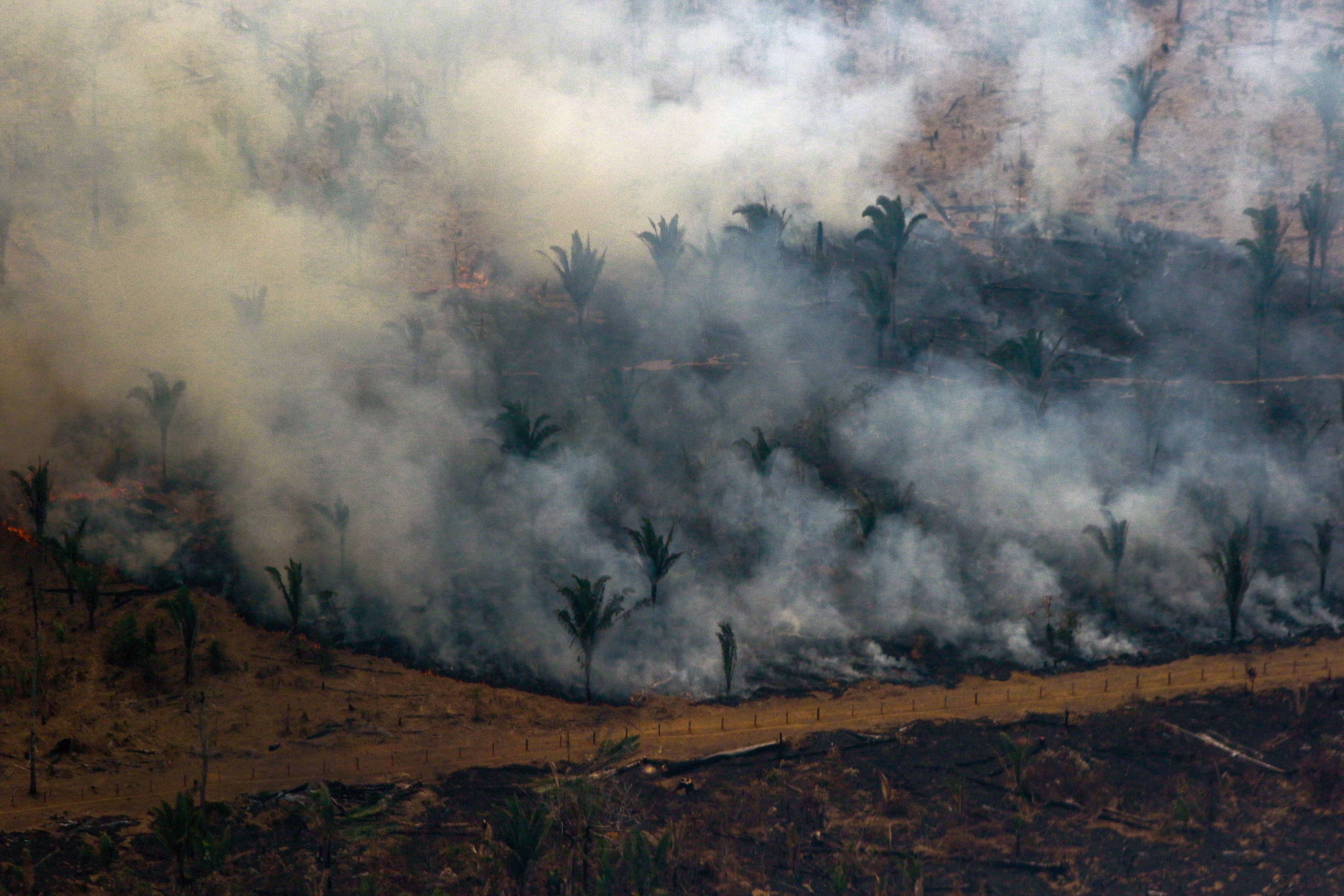 Brasil combate los incendios en la Amazonía tras nuevas llamaradas