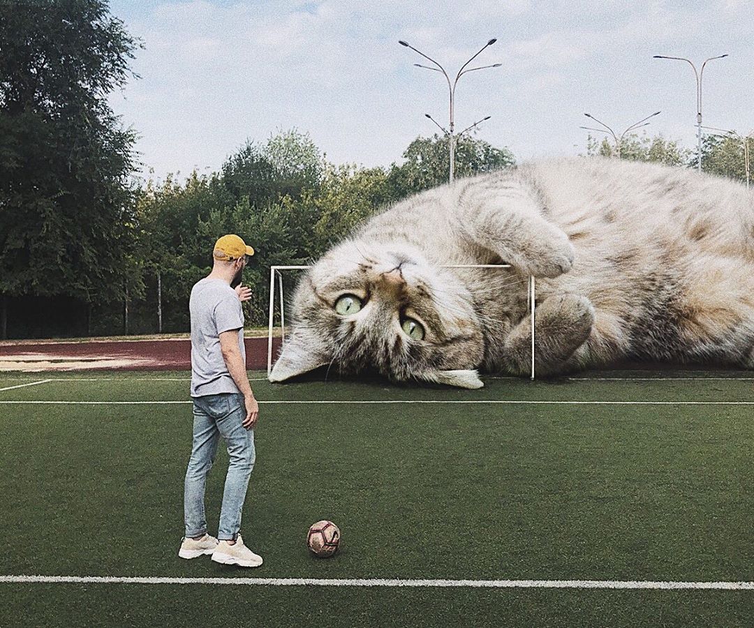 Можно громадный. Гигантский кот. Кот великан. Самый гигантский кот. Самый большой кот в мире.