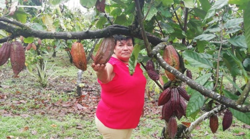 Mujer explica cómo sobrevivió a la mordedura de una bestial serpiente (+Historia)