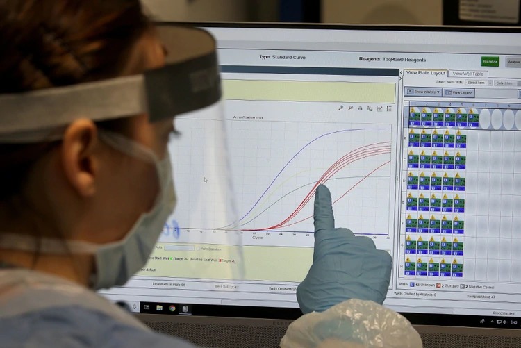 ¿Fin del crecimiento exponencial? Aseguran que propagación del coronavirus disminuye a casi cero después de 70 días