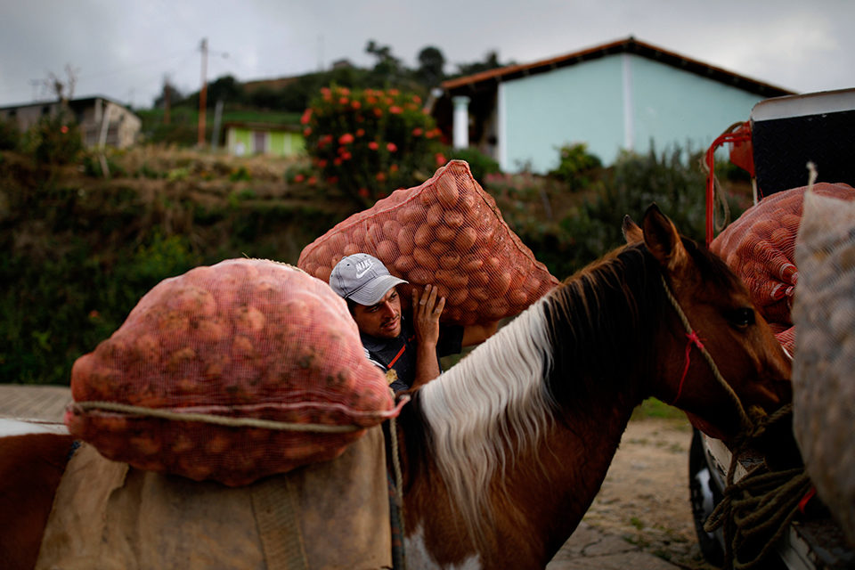 En las zonas productoras aún no llega gasolina ni barata ni cara