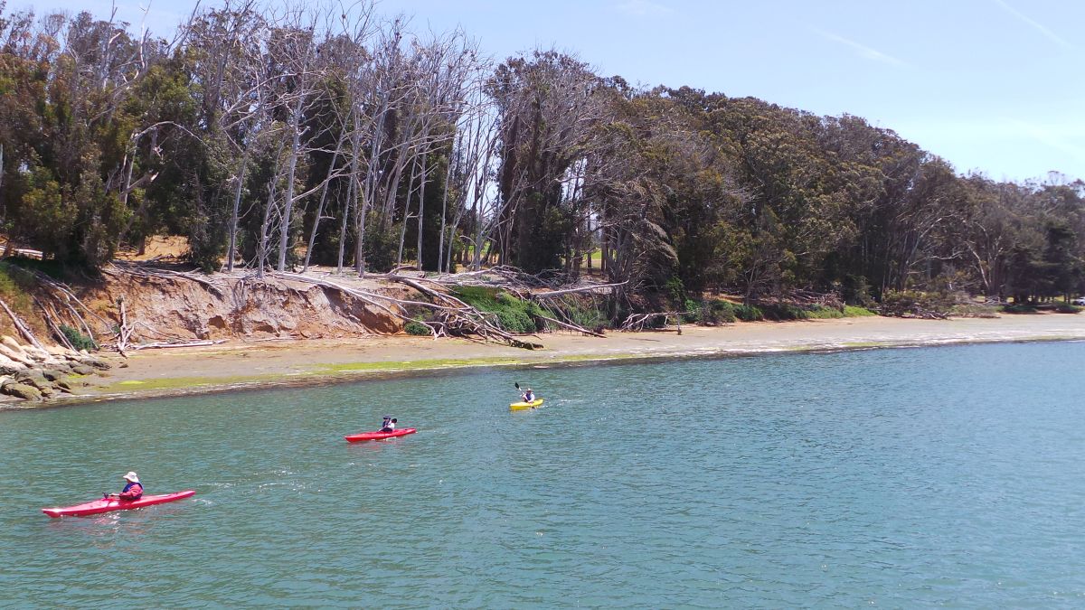 Se ahogó ingeniero de Google tras caer en un lago de Maine