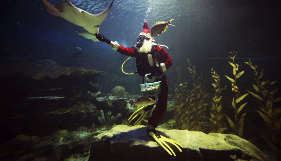 Santa Claus se sumerge con los peces en acuario tailandés (FOTOS