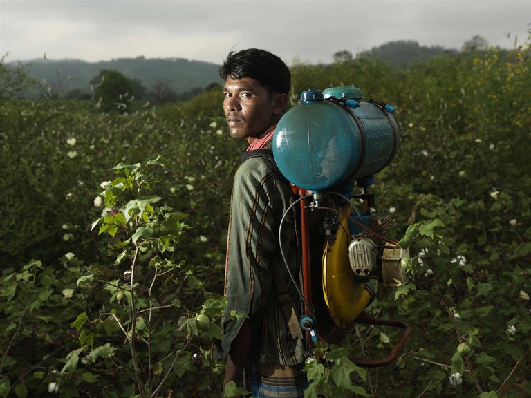 Alarma en India por una misteriosa enfermedad que afectó a más de 400 personas