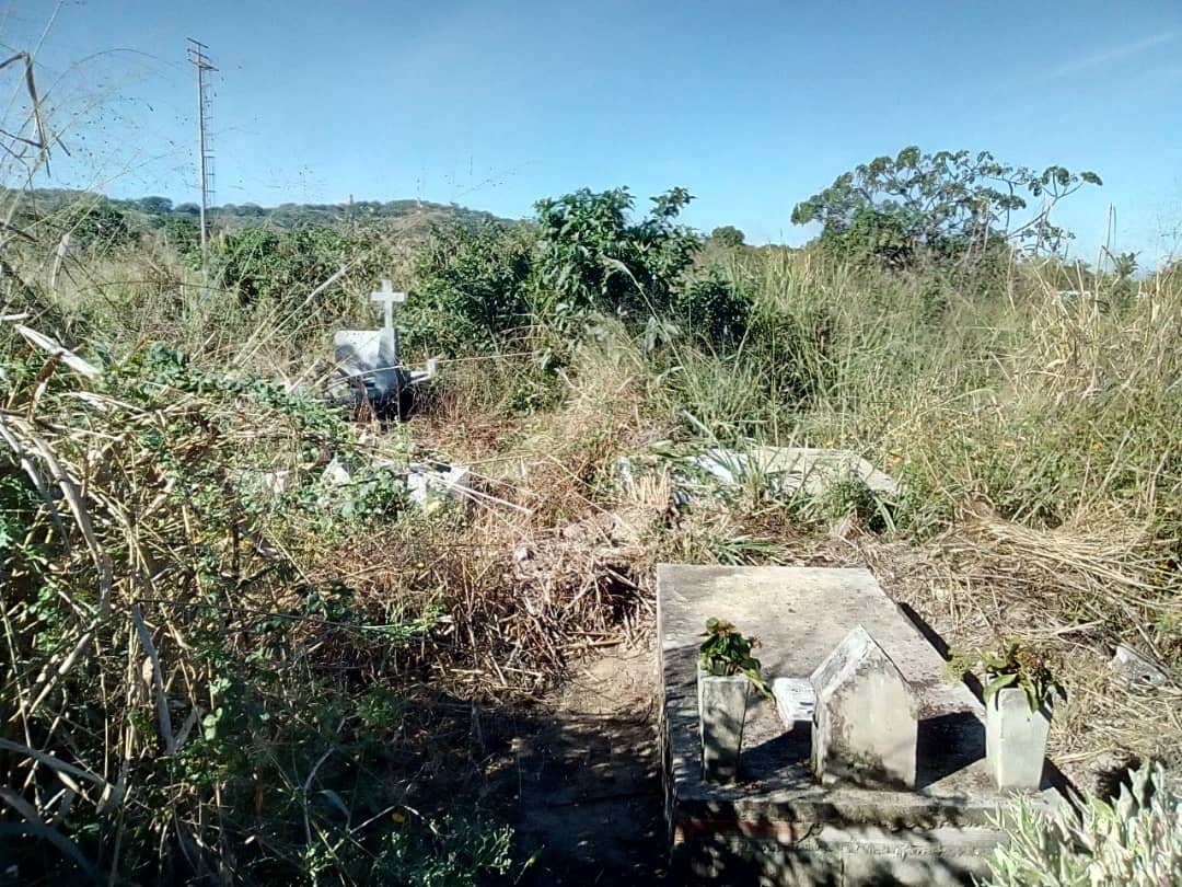 Denunciaron que al cementerio de Güigüe se lo tragó el monte (Fotos)