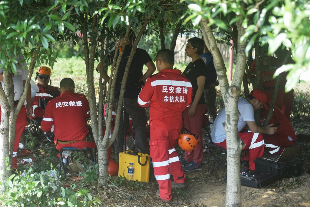 Pánico en China tras la huida de varios felinos salvajes de un zoológico (VIDEO)