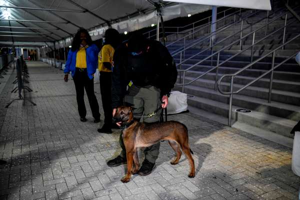 Perros certificados como detectores de Covid-19 se estrenarán en feria gastronómica de Miami