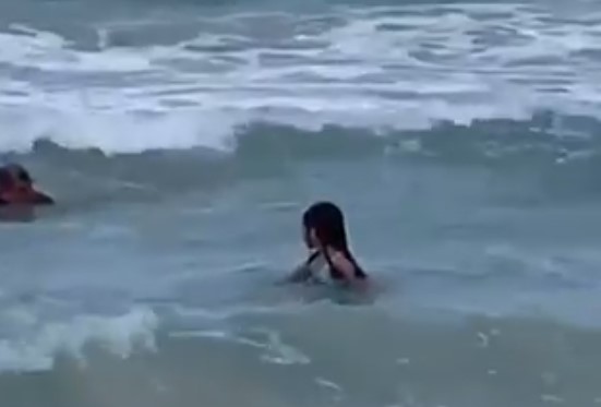 “Mi alma dejó mi cuerpo”: Niña de 6 años se topó con un tiburón en una playa de Hawái (VIDEO)