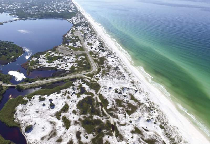 Tiburón de ocho pies atacó a hombre en Florida mientras nadaba