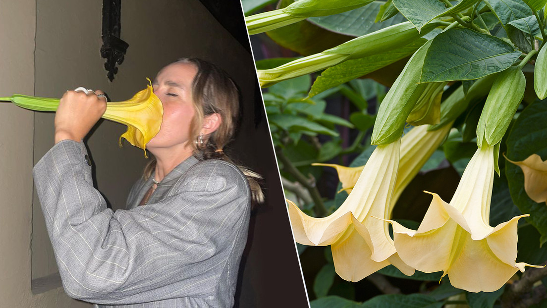 Inhaló el “delicioso olor” de una flor que encontró en la calle, pero terminó muy MAL