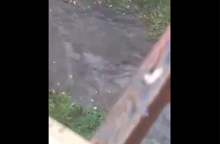 La quebrada Catuche en Caracas tras las precipitaciones de este #28Jul (Video)