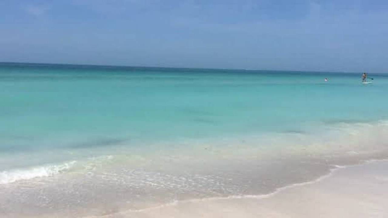 Bacterias carnívoras invaden nuevamente las playas de Texas