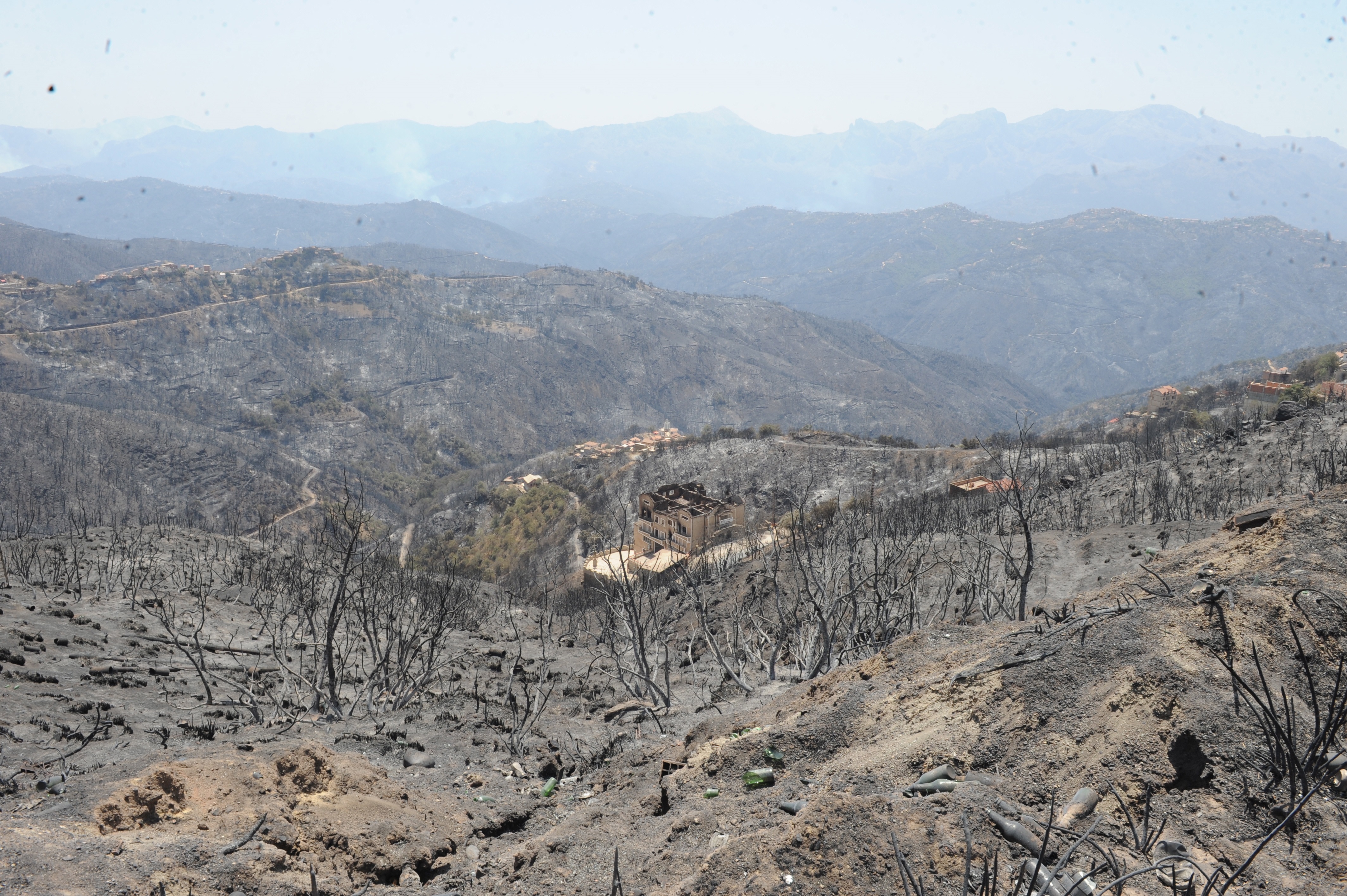 Víctimas en Argelia subieron a 69 durante el tercer día de incendios en el norte del país