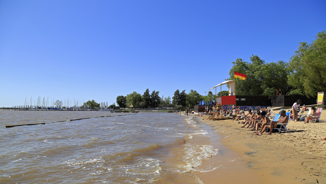 Un ataque de peces carnívoros en Argentina deja más de 30 heridos (incluida una adolescente que perdió un dedo)