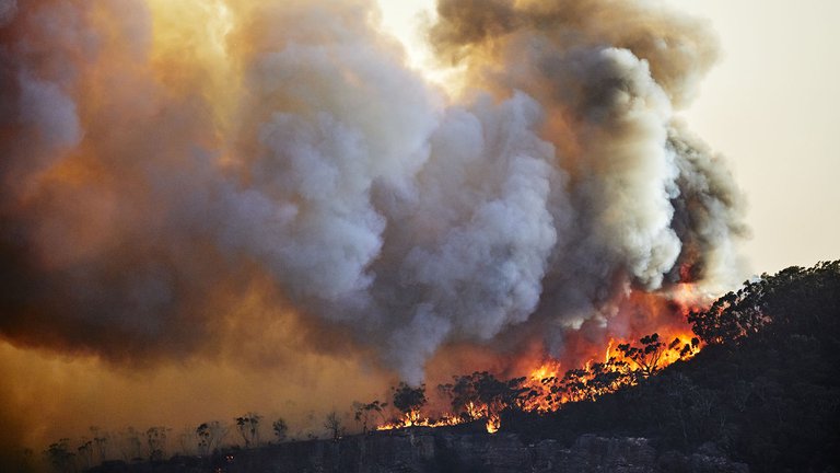 Cambio climático: Informe advirtió sobre “un devastador aumento de la temperatura”