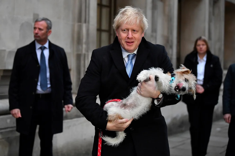 La extraña mentira de Boris Johnson sobre su ayuda para evacuar mascotas de Afganistán