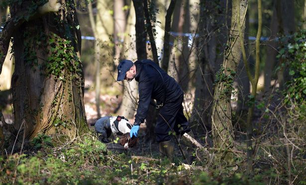 Horror en Inglaterra: niñas encuentran cadáver con las “manos cortadas” mientras hacían un picnic