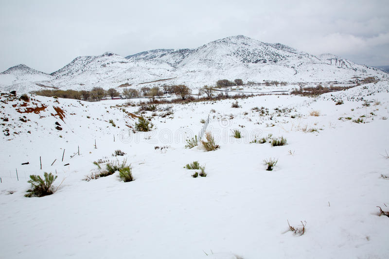 Guardia Costera de EEUU rescató a dos adolescentes desaparecidos tras detectar inusual señal en la nieve