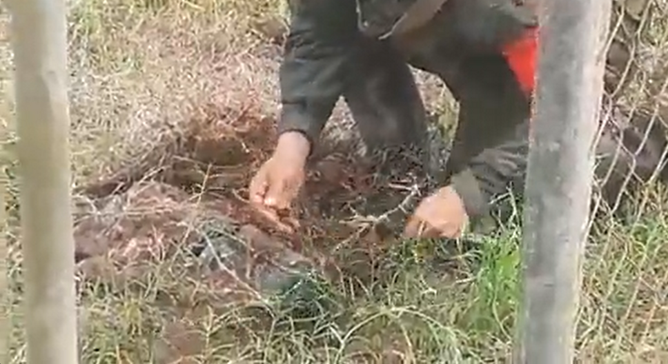 Desactivaron una bomba en una escuela de Apure, colocada por grupo armado (Video)