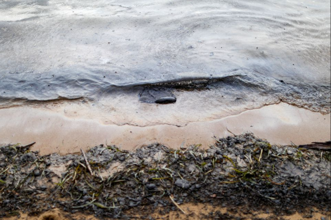 Derrames de crudo causaron graves daños ambientales en Venezuela durante dos años