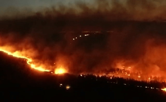 Esto está desbordado": Los incendios avanzan sin control en Argentina  (Videos)