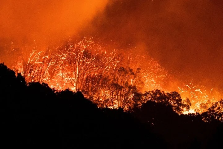 Cambio climático: expertos pronostican un futuro “espantoso”