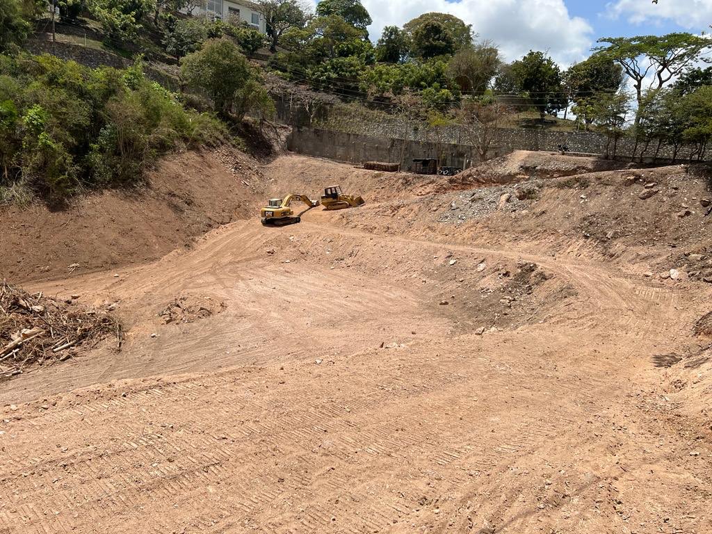 Denuncian deforestación ilegal en la urbanización Lomas del Mirador en Baruta (FOTOS)