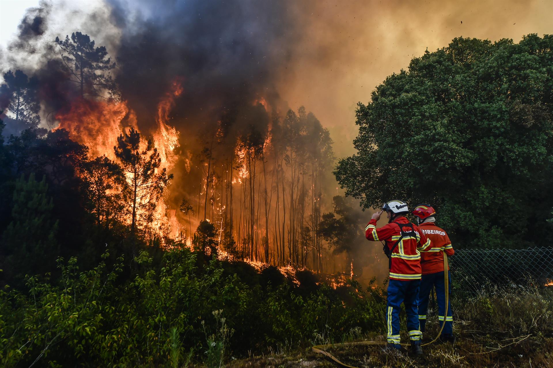 Ola de calor en el Mediterráneo: Las temperaturas se disparan desde Portugal hasta Turquía