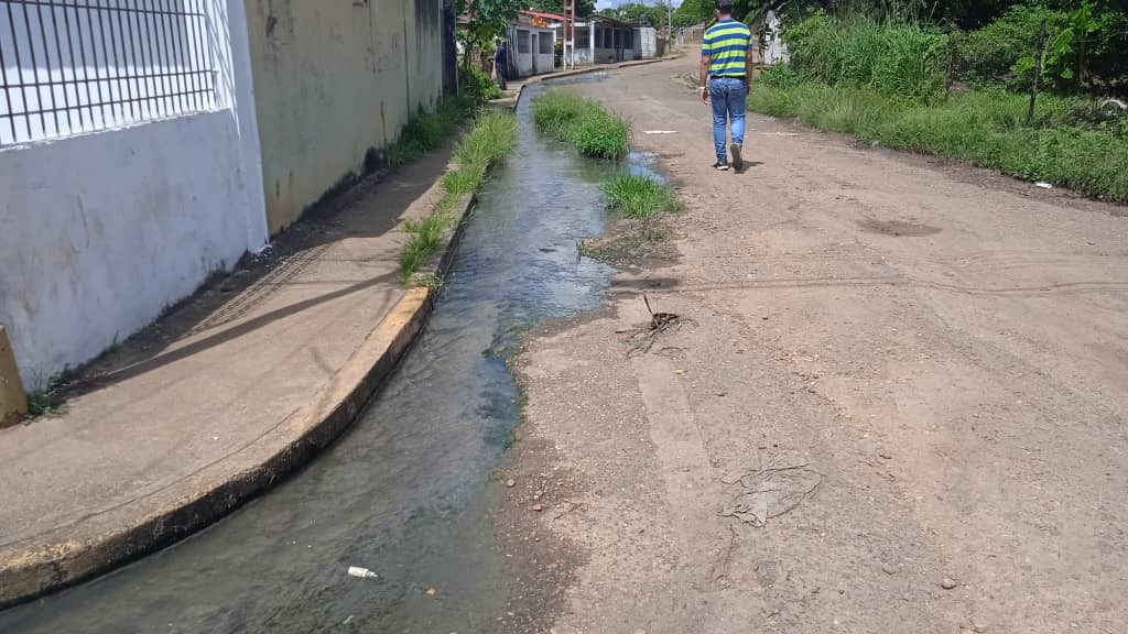 Plagas y hediondez tienen “hasta la coronilla” a vecinos del sector 19 de Abril de Maturín