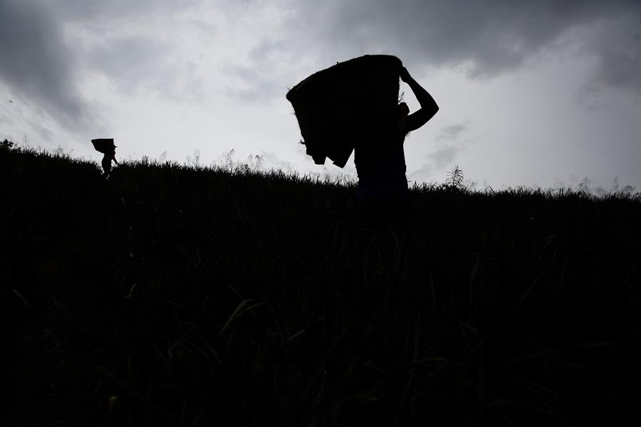 Las microfinanzas ofrecen inclusión y transformación al campo colombiano