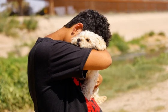 EN VIDEO: El dolor de un venezolano que tuvo que separarse de su perrita en la frontera para pedir asilo en EEUU