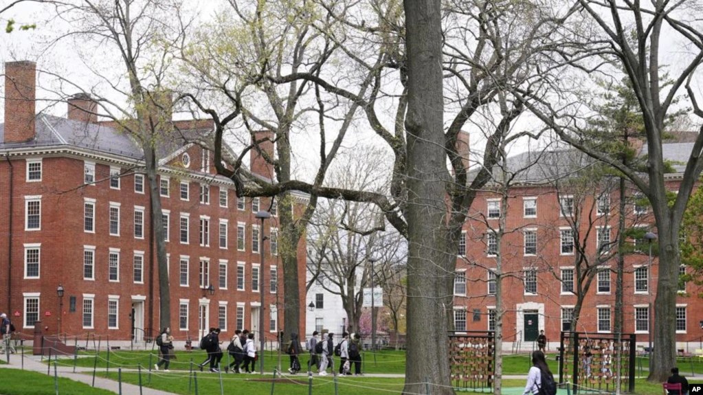 Harvard, mejor universidad del mundo y Sao Paulo de Latinoamérica, según lista de Shanghái