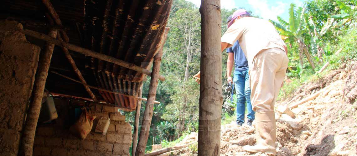 La naturaleza reclama su espacio ante la falta de planificación urbana en Venezuela